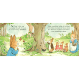 Peter Rabbit - A Spring Surprise