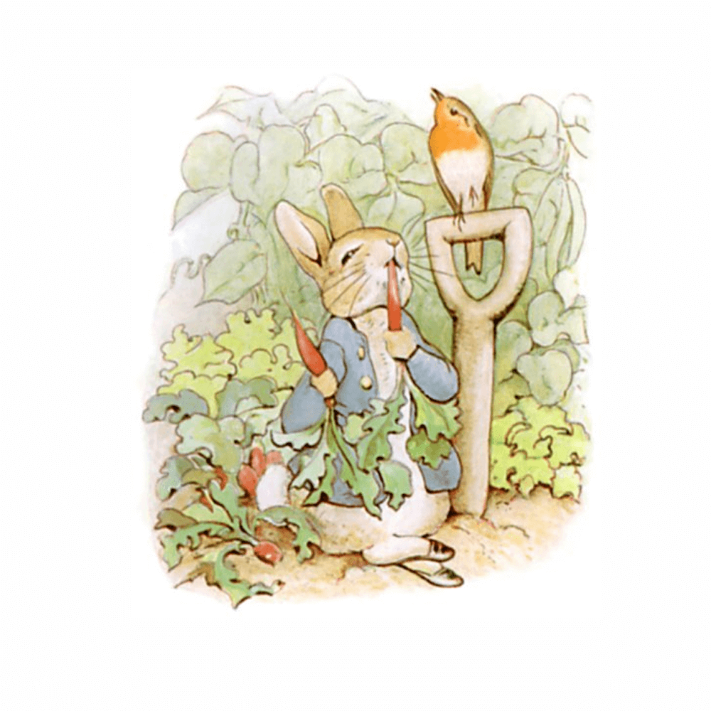 The Tale of Peter Rabbit Board Book by Beatrix Potter