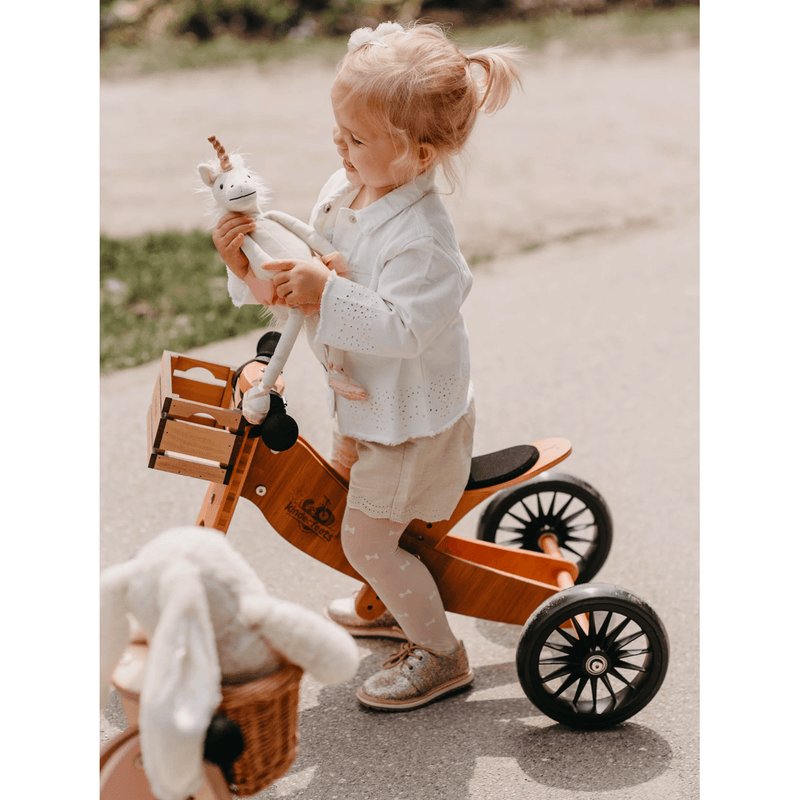 Kinderfeets 2 deals in 1 trike