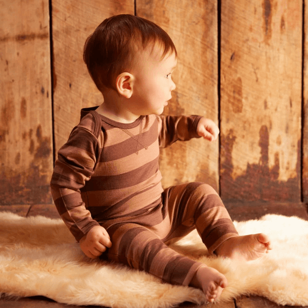 Nature Baby Merino Essential Tee - Bear Bold Stripe
