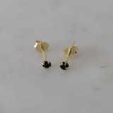 Sophie Store Mini Rock Studs - Black