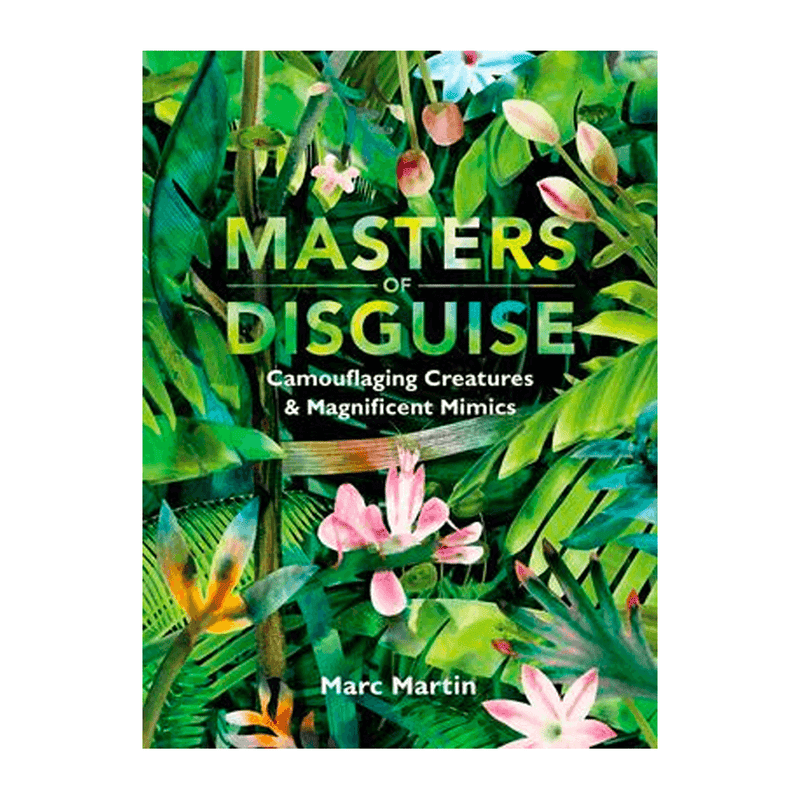 Masters Of Disguise By Marc Martin