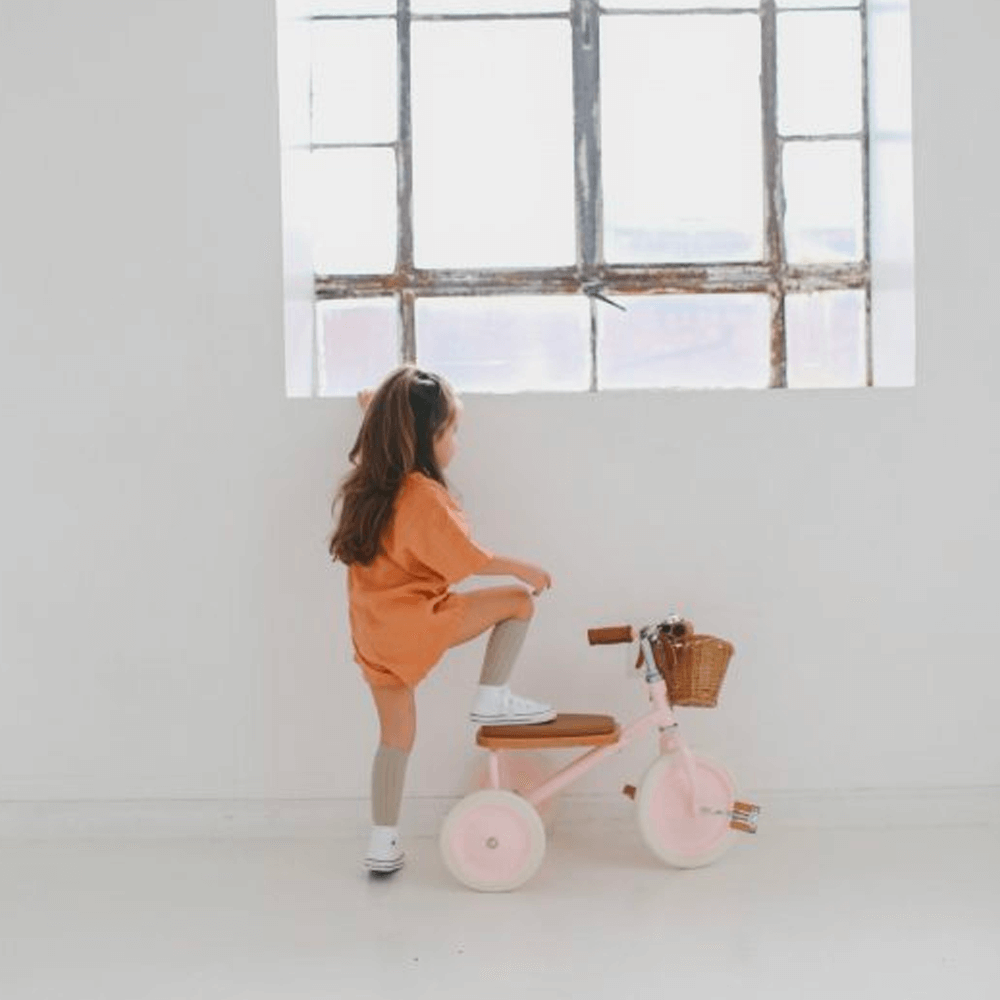 Banwood Trike - Pink