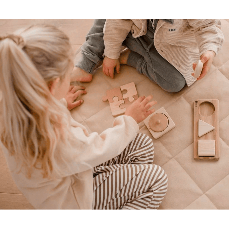 Q Toys 3 Shape Puzzle
