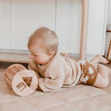 Q Toys Shape Sorter