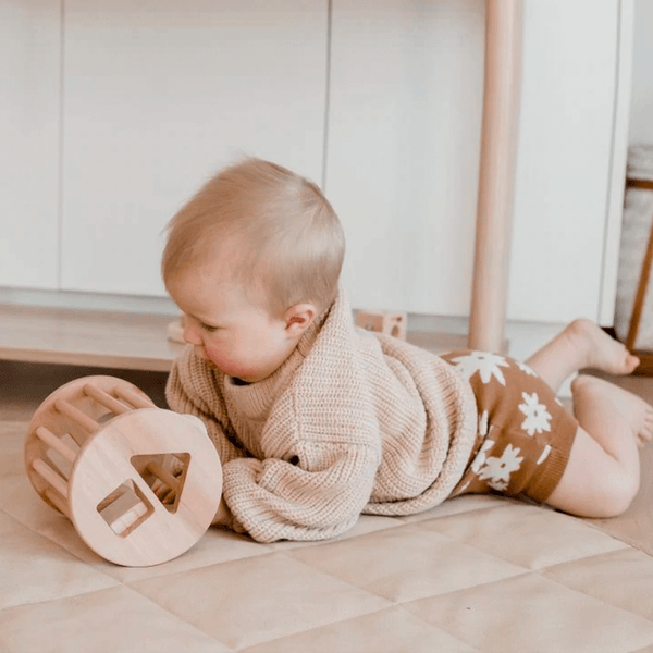Q Toys Shape Sorter