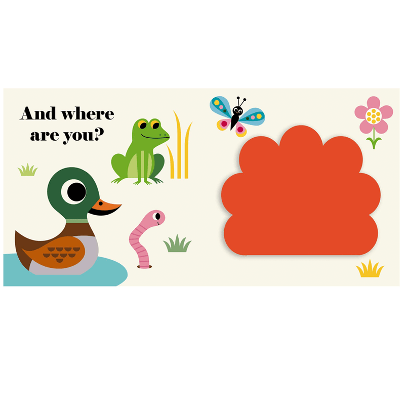 Where's Mr Duck?