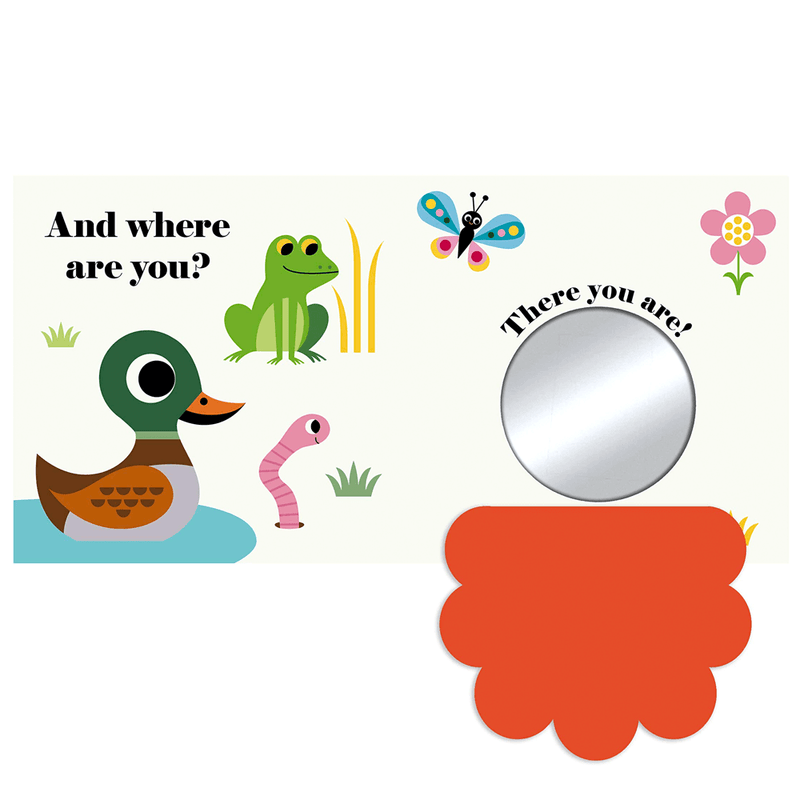 Where's Mr Duck?